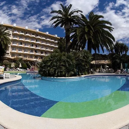 酒店 Riu Bravo 4*